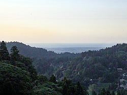 �����ɓ��{�C