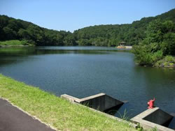 �悵���r�i���V�n�`�C�P�j